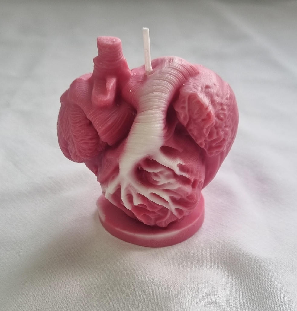 Anatomisk Hjerte