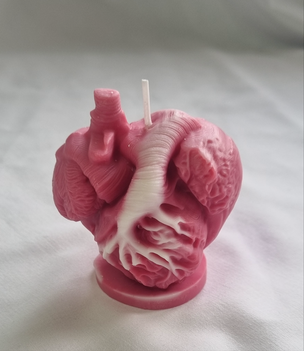Anatomisk Hjerte