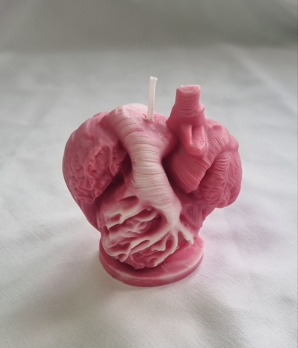 Anatomisk Hjerte